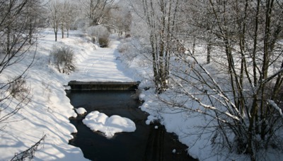 Srdíčková ...