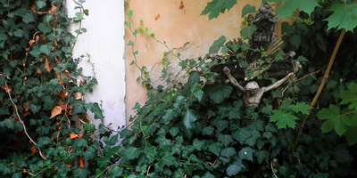Tonoucí