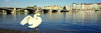 Na břehu Vltavy