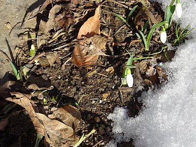 U zdi můžem....