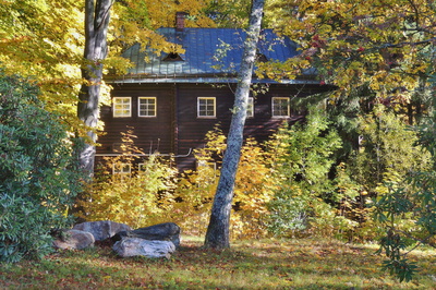 Vykukuje