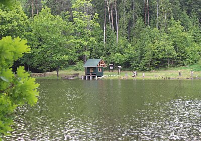 Rybník