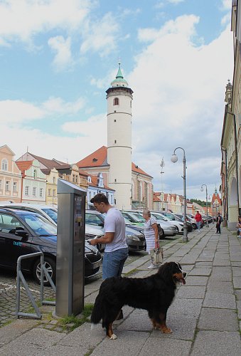Věž