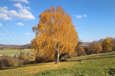 Pozdrav z výletu