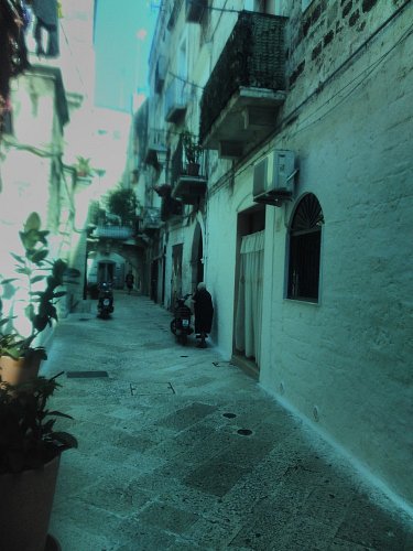 bari.jpg