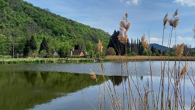 Chaloupka u rybníka, Jince