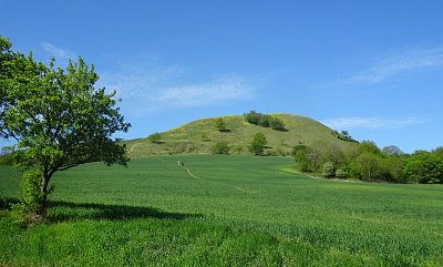 cicov-u-horence.jpg