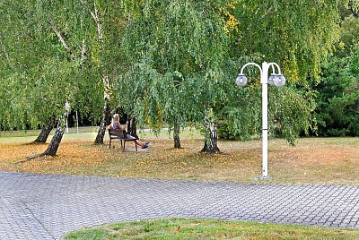 Dívka v březovém hájku