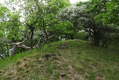 dlouhy-vrch-vrchol.jpg