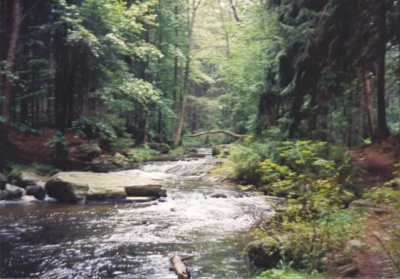 doubravka-2-.jpg