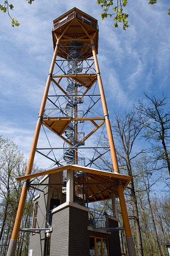 dsc-0020m-4.jpg