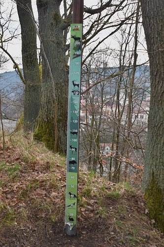 dsc-0046-3.jpg