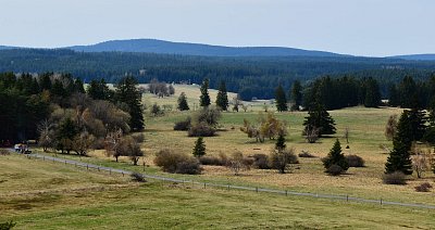 dsc-0053-1--1.jpg