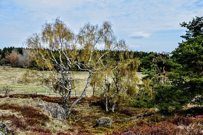 dsc-0058-11.jpg