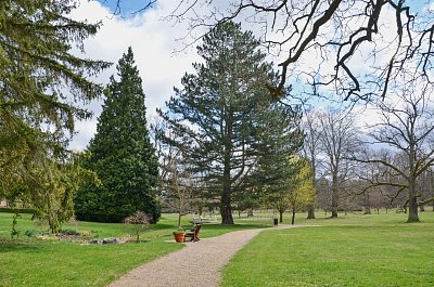dsc-1091.jpg