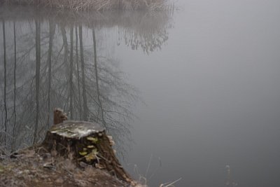 dsc-1236.jpg
