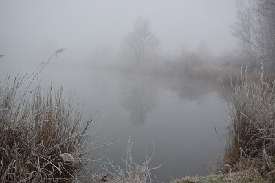 dsc-1255.jpg