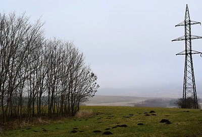 dsc-1372.jpg