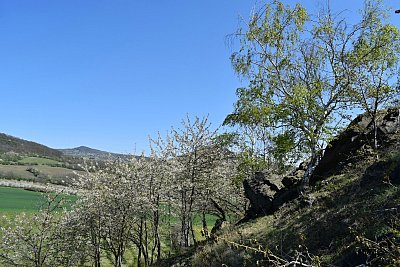 dsc-1898.jpg
