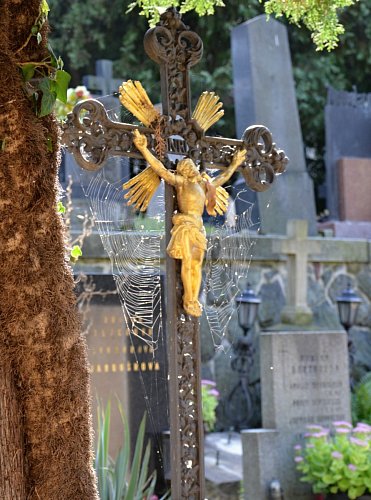 dsc-2707-2.jpg