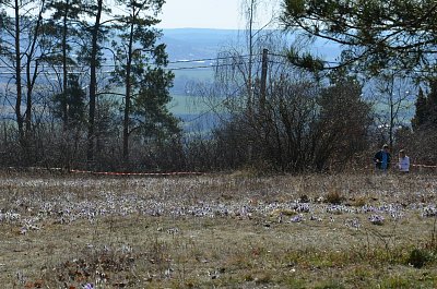 dsc-3470-1.jpg