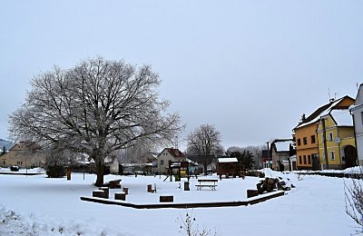 dsc-6504.jpg