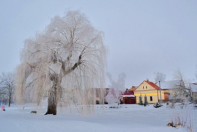 dsc-6540.jpg
