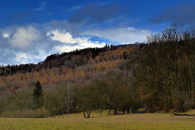 dsc-7281.jpg