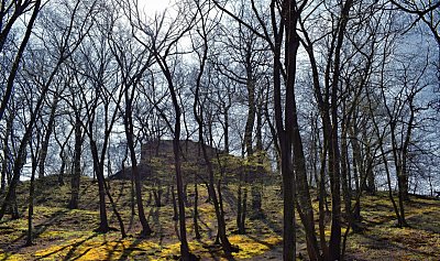 dsc-7947.jpg