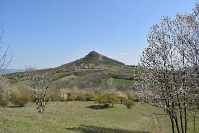dsc-8435.jpg