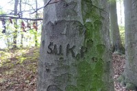 Nic pro útlocitné