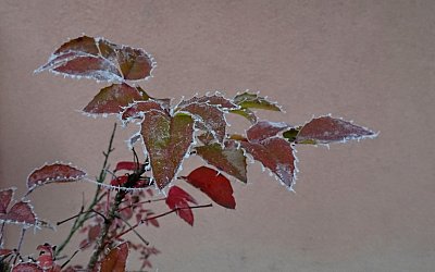 dsc00880.jpg