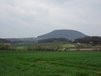 dsc01081.jpg