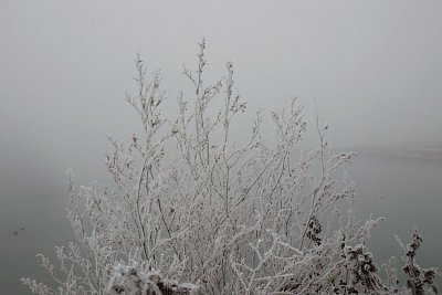 dsc01082.jpg