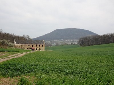 dsc01105.jpg