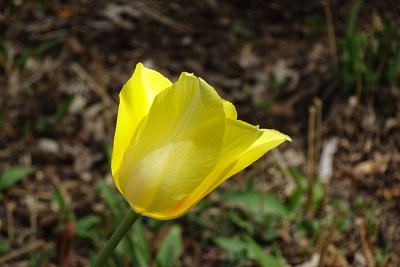 dsc03055.jpg