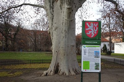 dsc04115.jpg