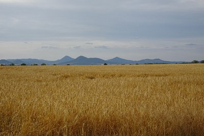 dsc04839.jpg