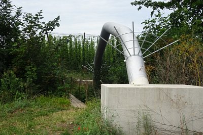 dsc04925-1.jpg