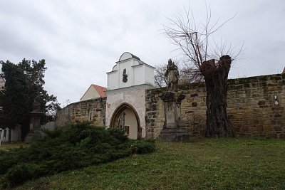 dsc05863.jpg