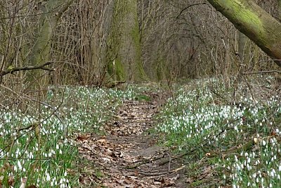 dsc06170.jpg
