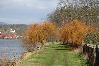 dsc06220.jpg