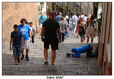 dsc06670a.jpg