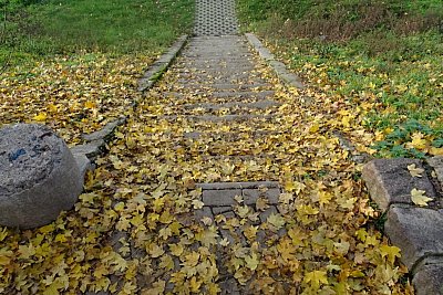 dsc07088.jpg