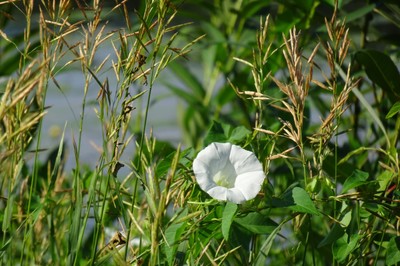 dsc07247.jpg