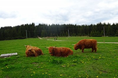 dsc07820.jpg