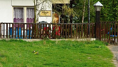 dsc08060z.jpg