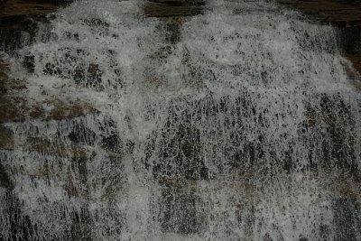 dsc08143.jpg