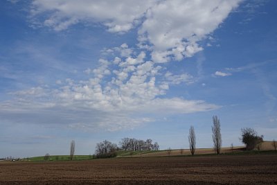 dsc08162.jpg