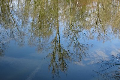 dsc08201.jpg